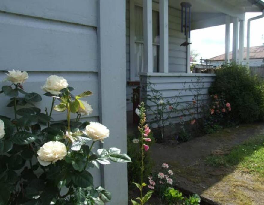 טאומרנוי Riverlea Cottage - Cosy, Comfy, Quiet, Central מראה חיצוני תמונה
